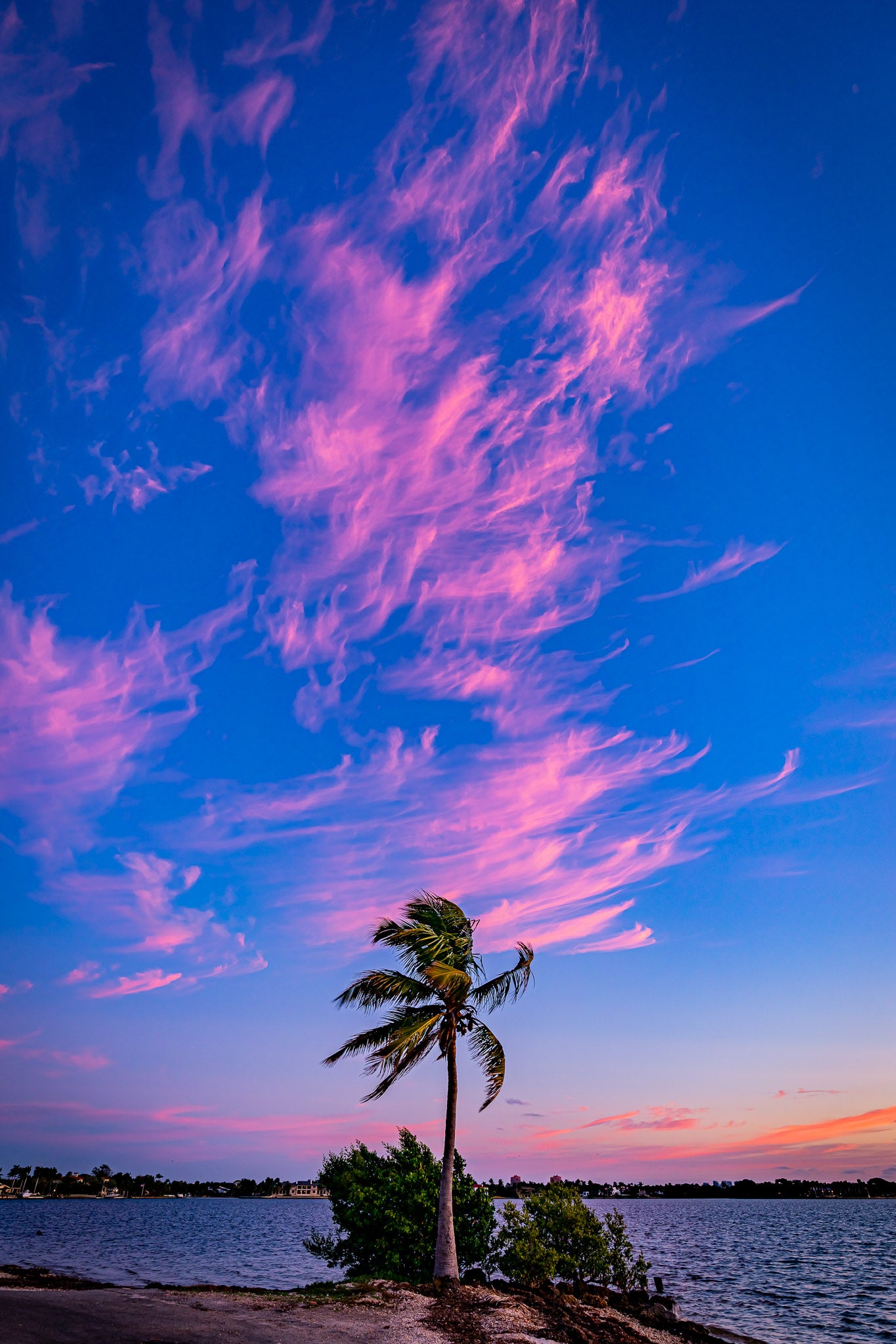 FLAMINGO - OA LIVING